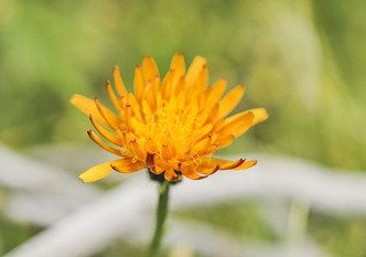 Blog & News